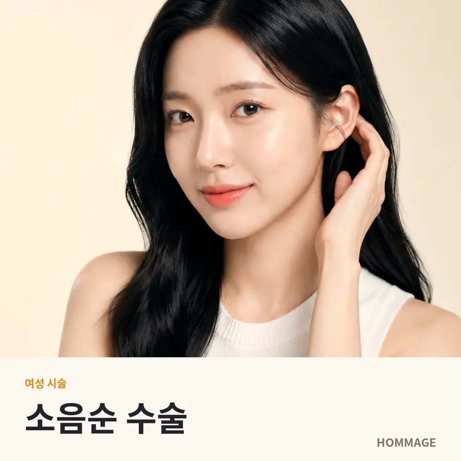 강남역 여성의원 소음순 수술